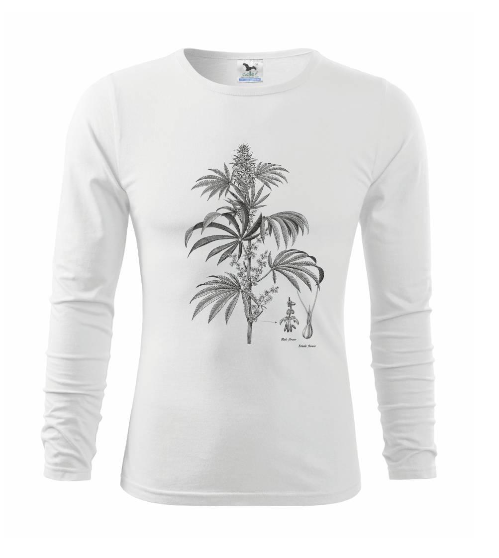 Konope kvietok čiernobiely   Konope kvietok čiernobiely