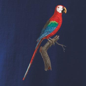 Papagáj červený na vetve