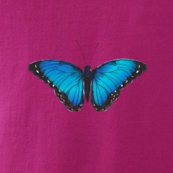 Motýľ Babôčka Morpho Peleides