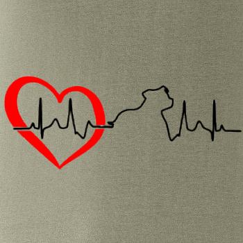 Stafordšírsky bulteriér  EKG Stafordšírsky bulteriér  EKG