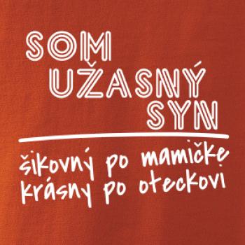 Som úžasný syn