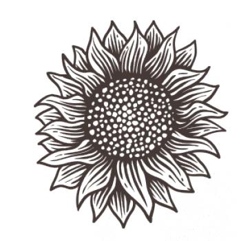 Slnečnica kreslená čiernobiela