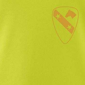 1st Cavalry Division hvězdy prsa zlatá
