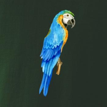 Ara modrá kreslená Ara modrá kreslená