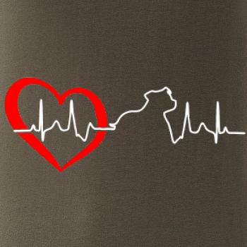 Stafordšírsky bulteriér  EKG Stafordšírsky bulteriér  EKG