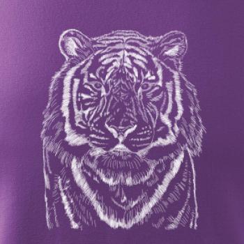 Tiger skica