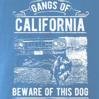Gangs Of California