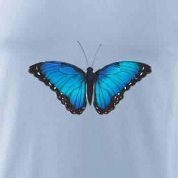 Motýľ Babôčka Morpho Peleides