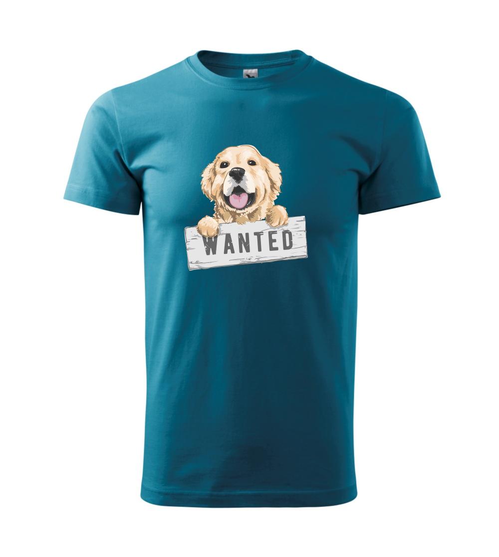 Zlatý retriever - šteniatko wanted Zlatý retriever - šteniatko wanted