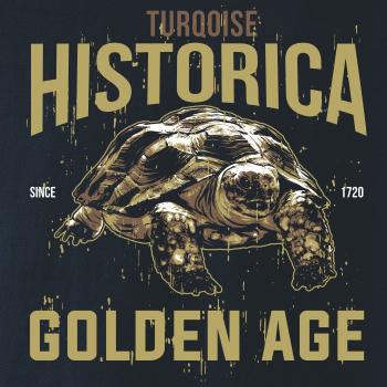 Turtle age Turtle age