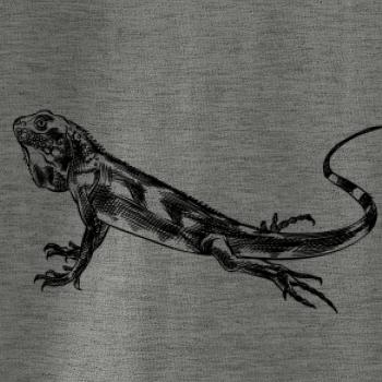 Ceruzkou kreslený Leguán