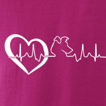 Borderská kólia EKG Borderská kólia EKG