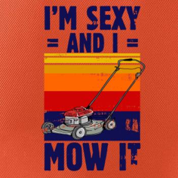 I'm sexy and i mow it I'm sexy and i mow it