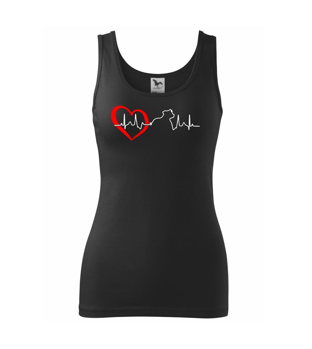 Stafordšírsky bulteriér  EKG Stafordšírsky bulteriér  EKG