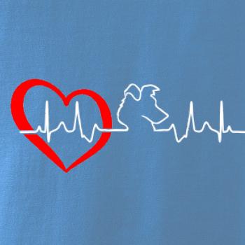 Borderská kólia EKG Borderská kólia EKG