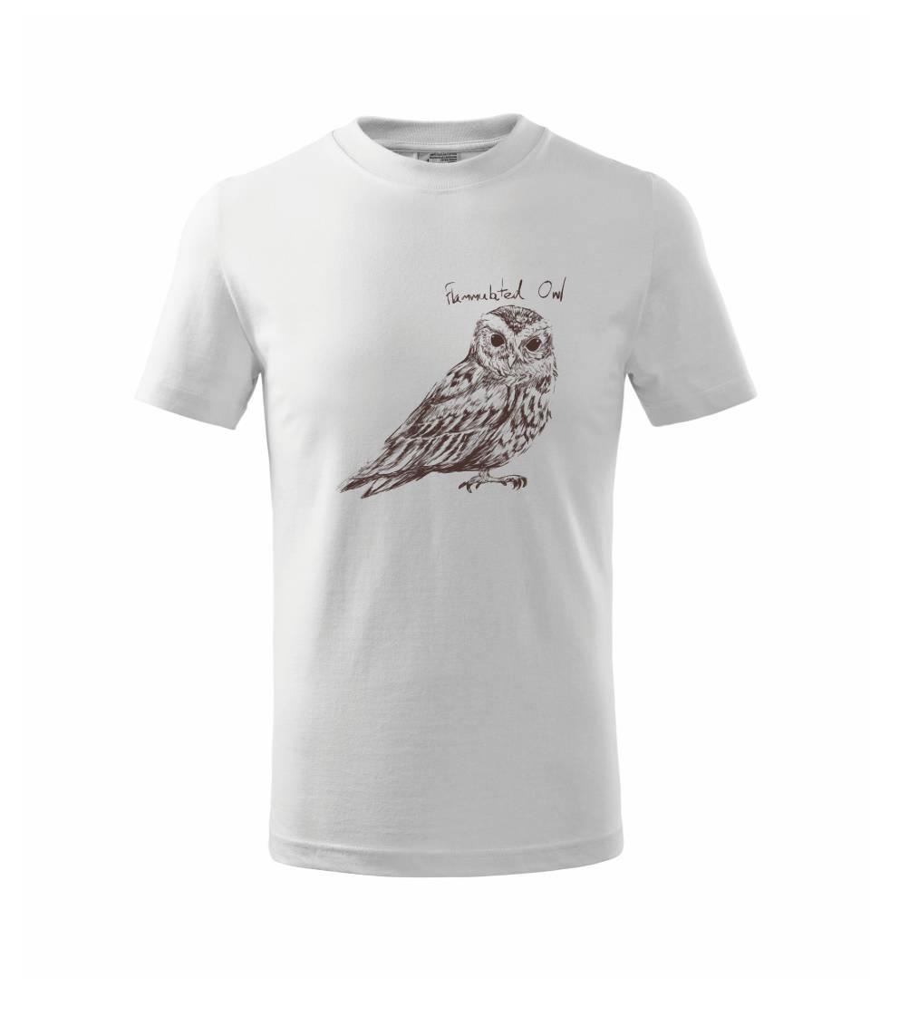 Výrček ohnivý  flammulated owl