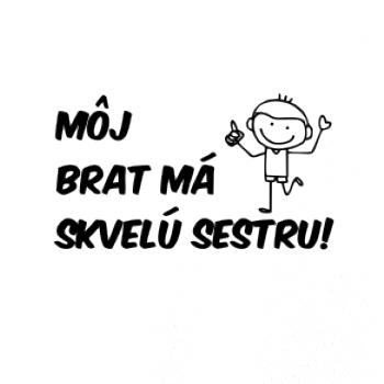Môj brat má skvelú sestru