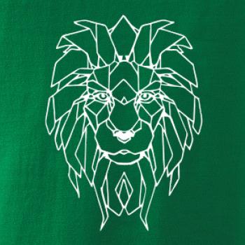 Geometria - lev tvár Geometria - lev tvár