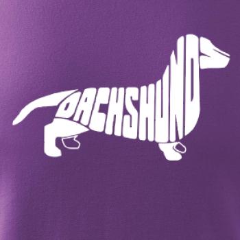 Jazvečík - Dachshund Jazvečík - Dachshund
