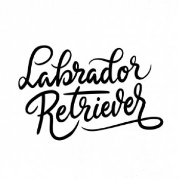 Labrador - nápis okrasný