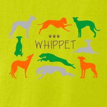 Whippet farebný Whippet farebný