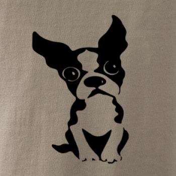 Bostonský teriér Bostonský teriér