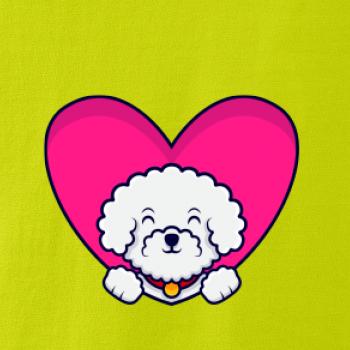 Bišónik zalezený v srdci