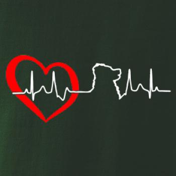 Bernský salašnický pes EKG Bernský salašnický pes EKG