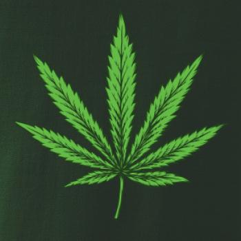 Zelený list Zelený list