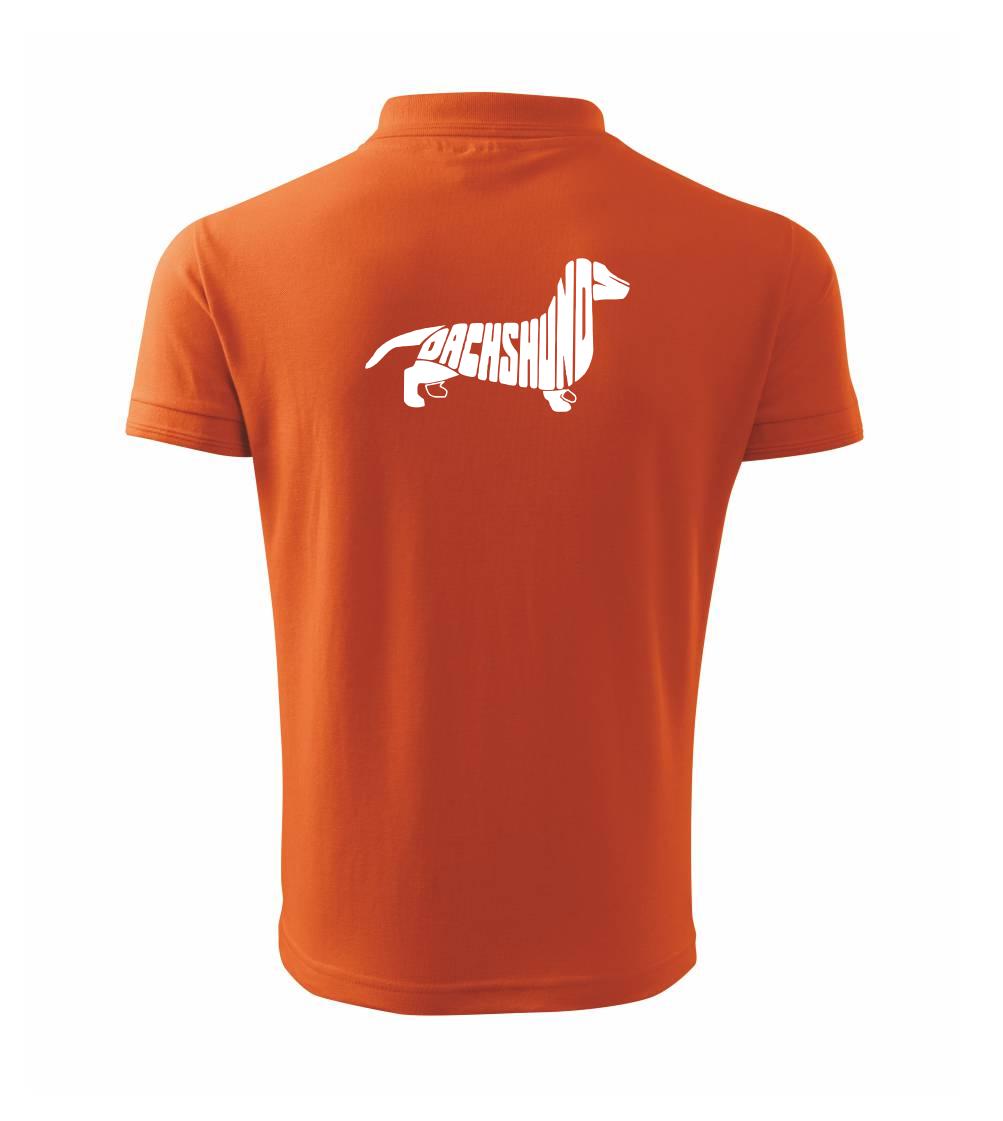 Jazvečík - Dachshund Jazvečík - Dachshund