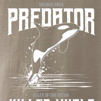 Orca predator