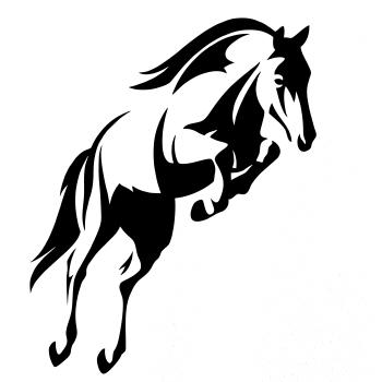 Kôň na zadných Kôň na zadných