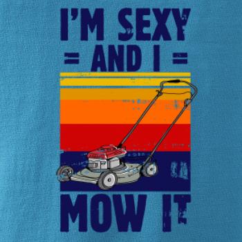 I'm sexy and i mow it I'm sexy and i mow it