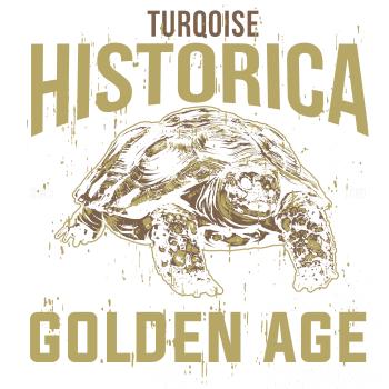 Turtle age
