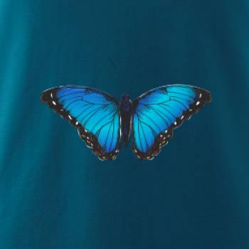 Motýľ Babôčka Morpho Peleides