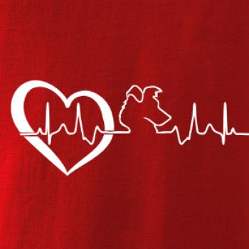 Borderská kólia EKG Borderská kólia EKG