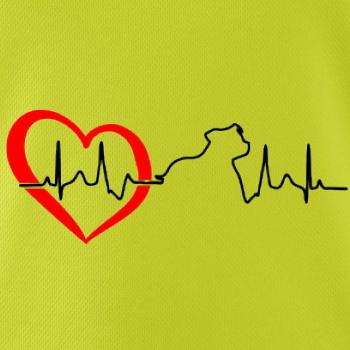 Stafordšírsky bulteriér  EKG Stafordšírsky bulteriér  EKG