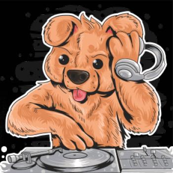 DJ Teddy