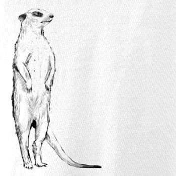 Surikata čierna kresba