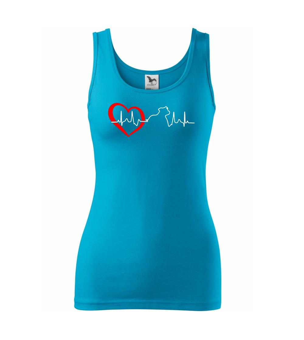 Stafordšírsky bulteriér  EKG Stafordšírsky bulteriér  EKG