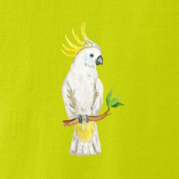 Papagáj Kakadu kreslený