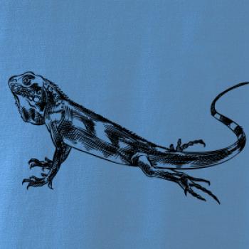 Ceruzkou kreslený Leguán