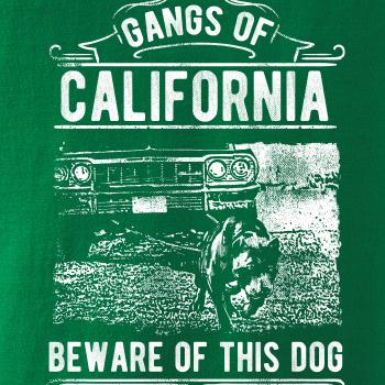 Gangs Of California