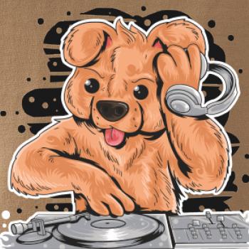 DJ Teddy DJ Teddy