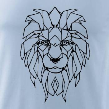 Geometria - lev tvár Geometria - lev tvár