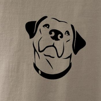 Labrador obrys Labrador obrys