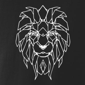 Geometria - lev tvár Geometria - lev tvár