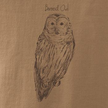 Sova pásikavá  Barred owl Sova pásikavá  Barred owl