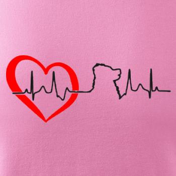 Bernský salašnický pes EKG