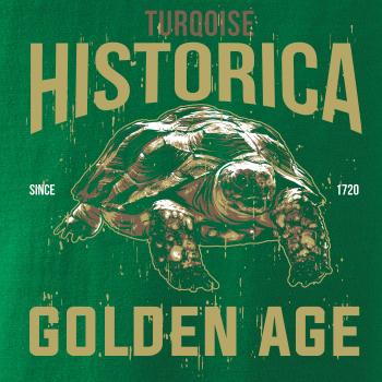 Turtle age